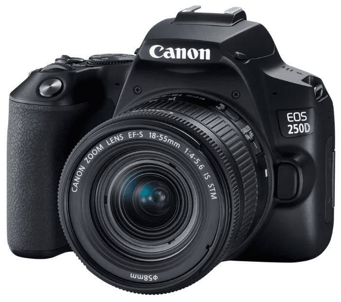Canon EOS 250D Kit EF-S 18-55mm IS STM Меню На Английском Языке