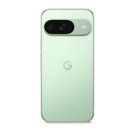 Google Pixel 9 12/256Gb Зеленый 5G