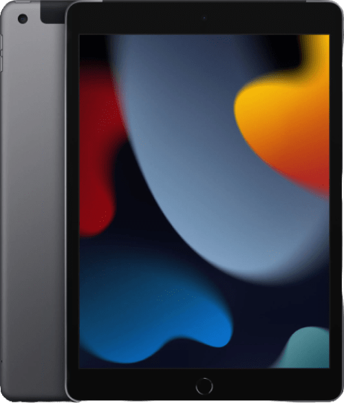 iPad 10.2 2021 Wi-Fi 256Gb Серый Космос MK2N3
